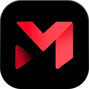 Memovid